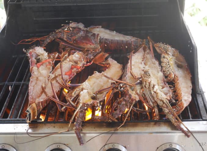 lobster-auf-dem-grill