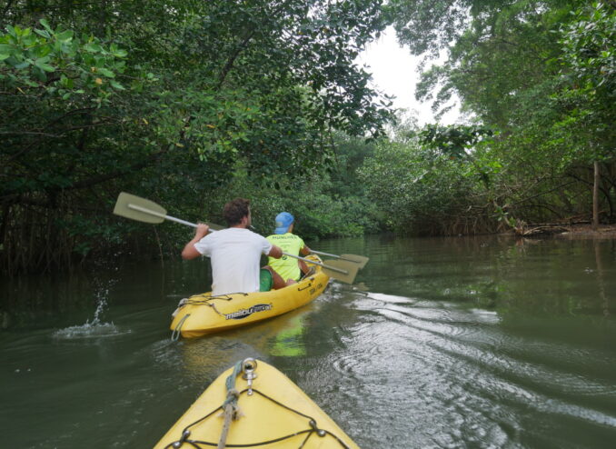 canoe-tour