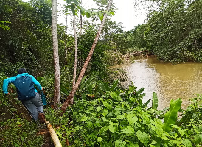 matsch-im-regenwald