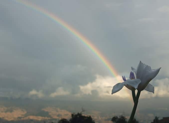 medellin-regenbogen