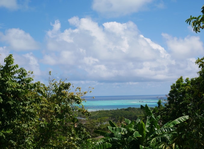 Ausblick von der Insel