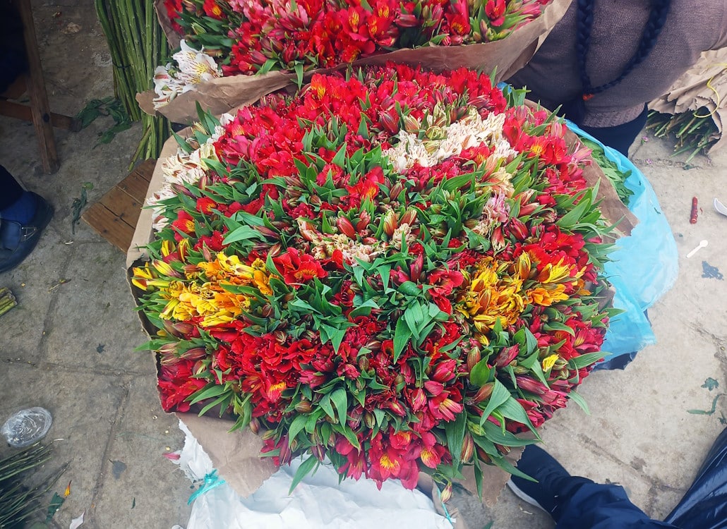 blumen_blumenmarkt_zinacantán