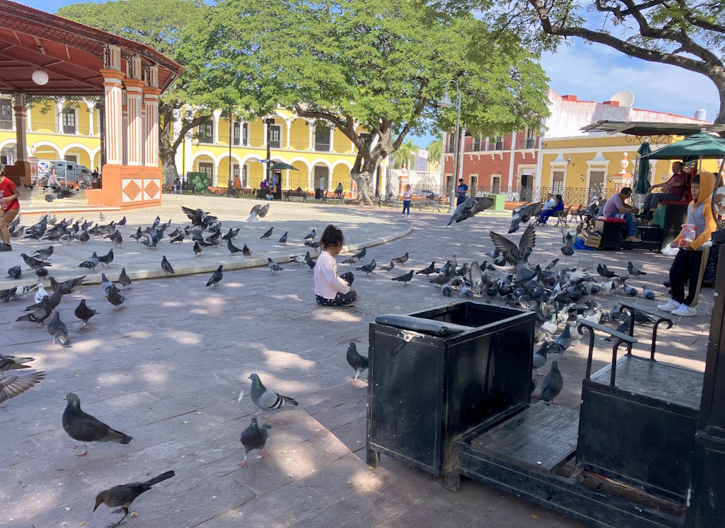 campeche_im_park_mit_tauben