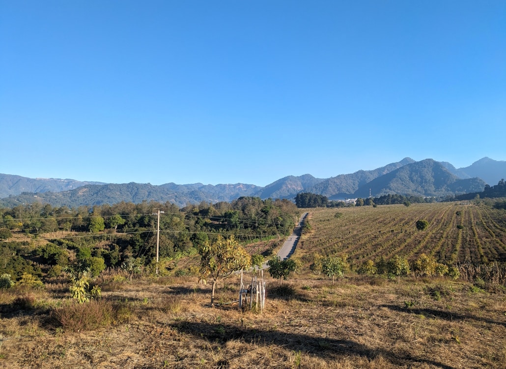 heimweg_wanderung_nach_sonnenaufgang