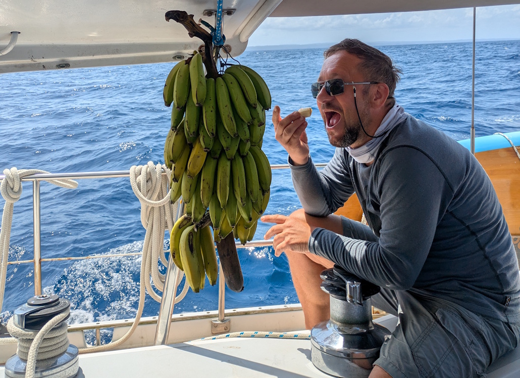 bananenstaude_von_porto_belo_fuer_die_ueberfahrt