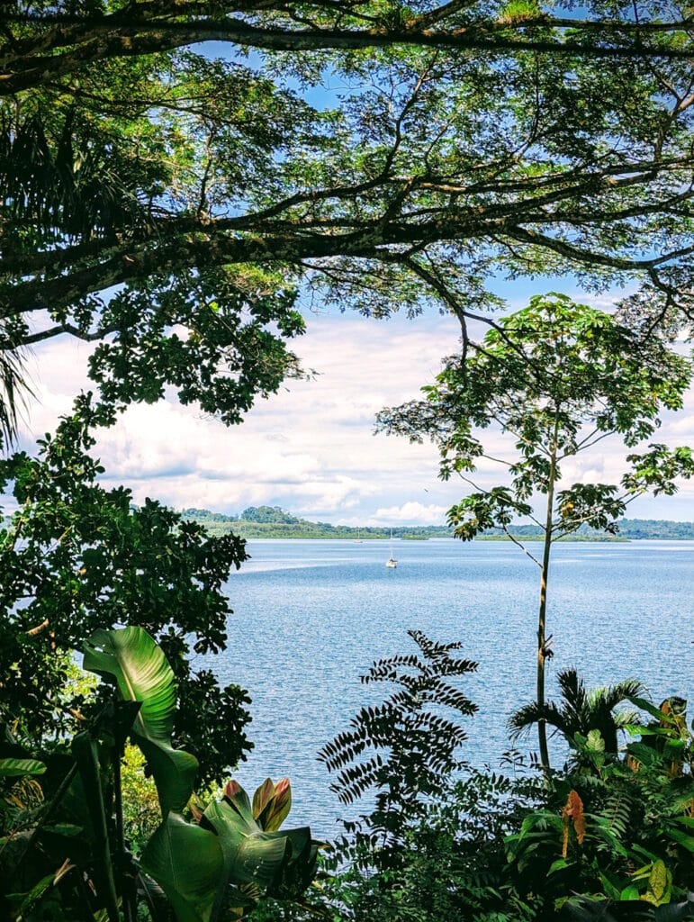 ankern_in_der_natur_in_bocas_del_toro