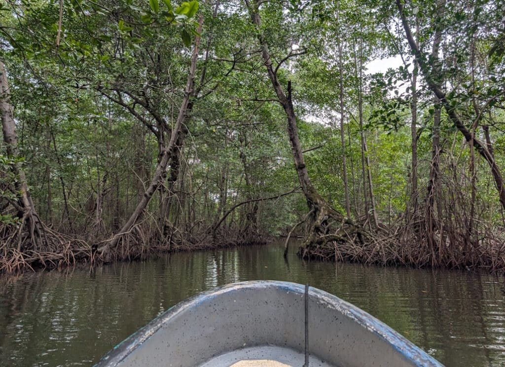auf_dem_weg_zur_vampierhoehle