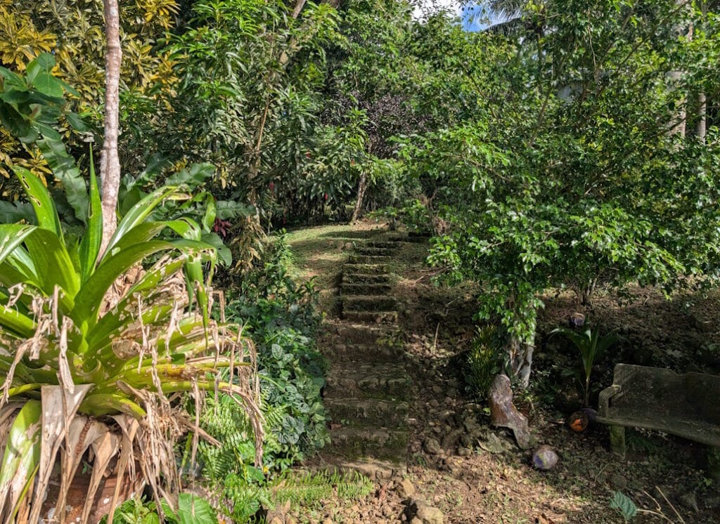 Eingang zur Kakaoplantage