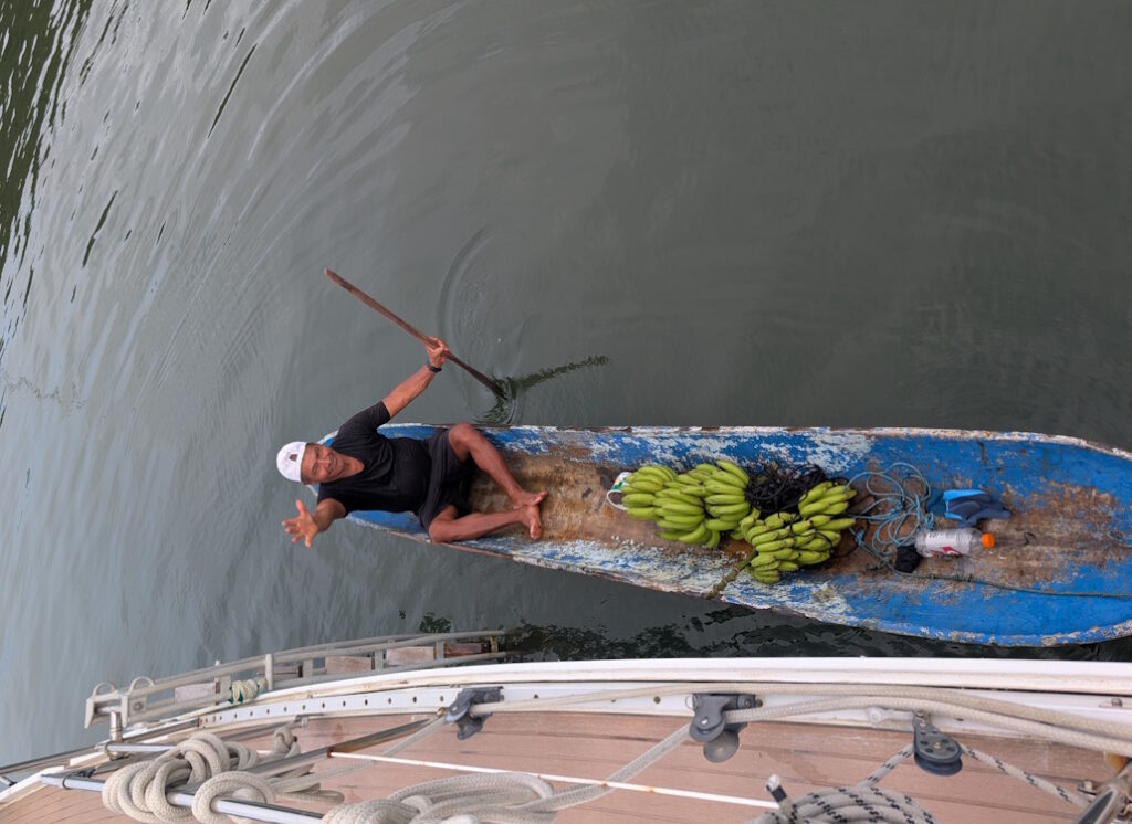 senior_lana_beste_bananen_der_welt