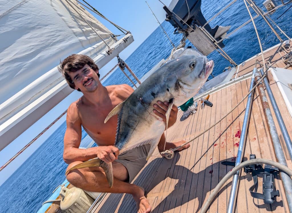 zweiter_bigeye_trevally